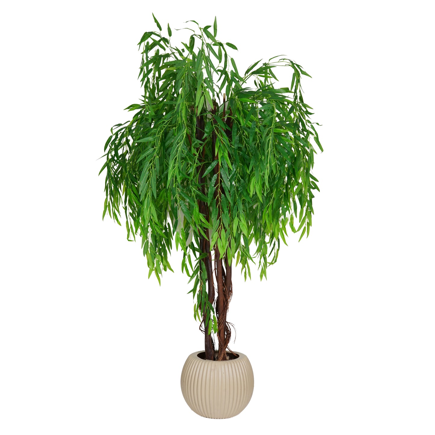 Willow tree