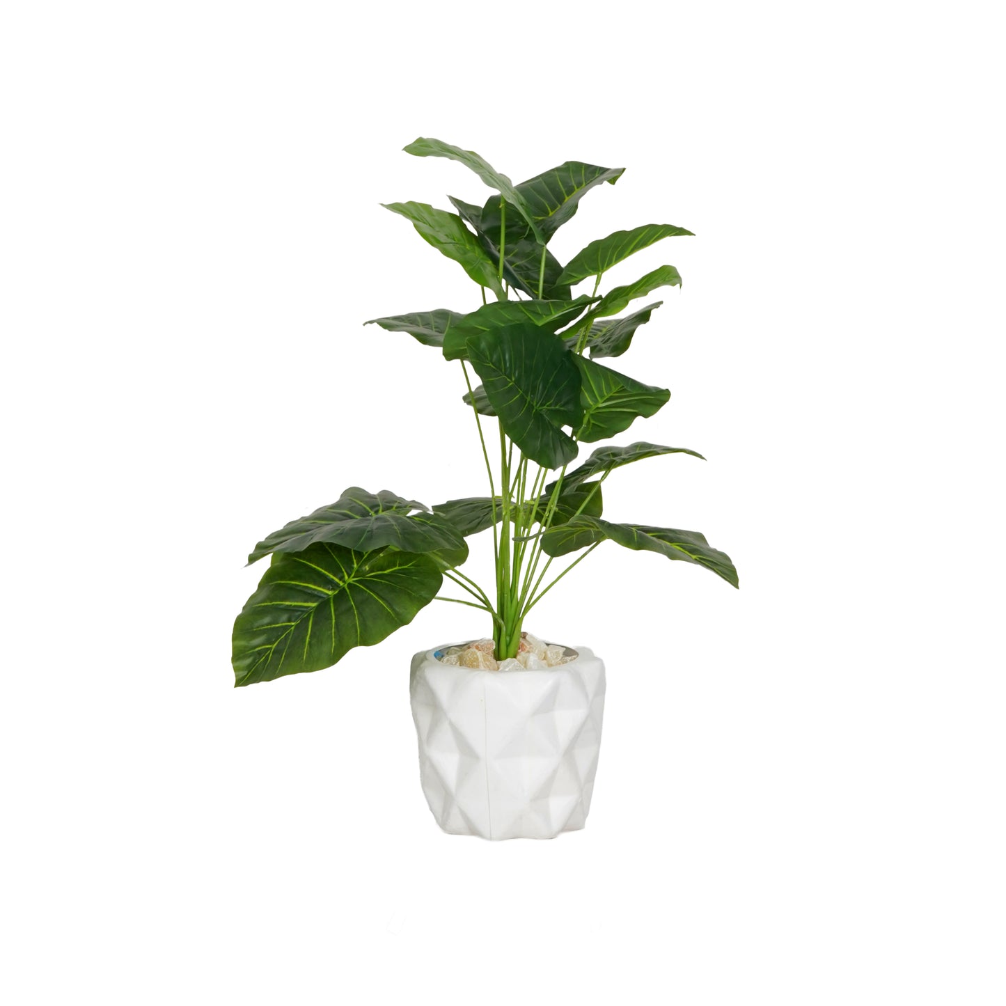 Assembly Tree 18