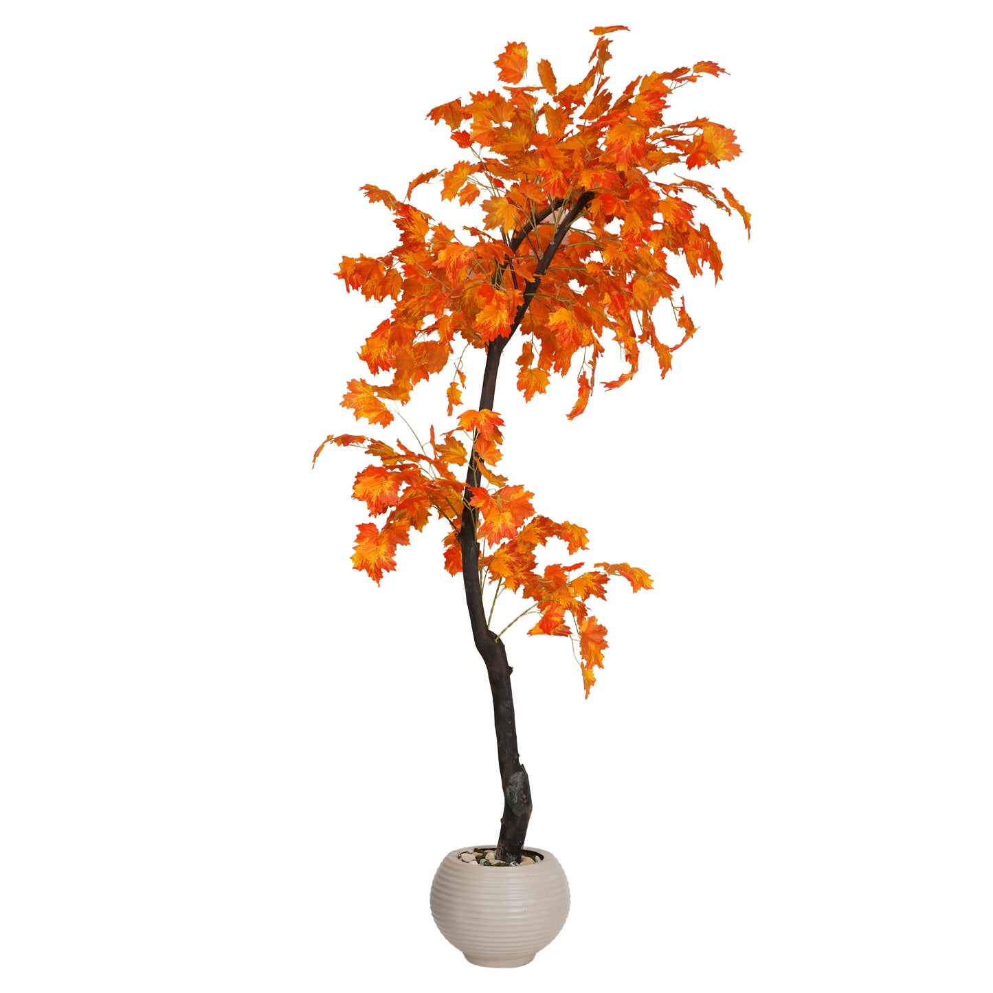 Autumn tree with a natural trunk