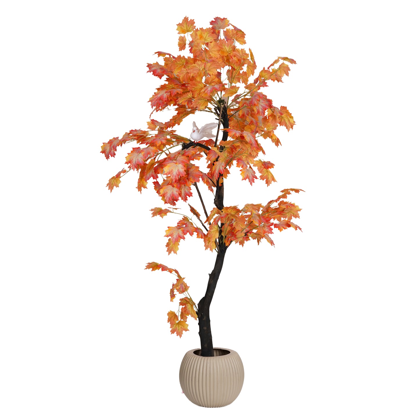 ِAutumn tree