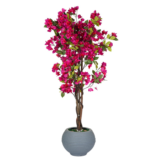 Belladonna Tree