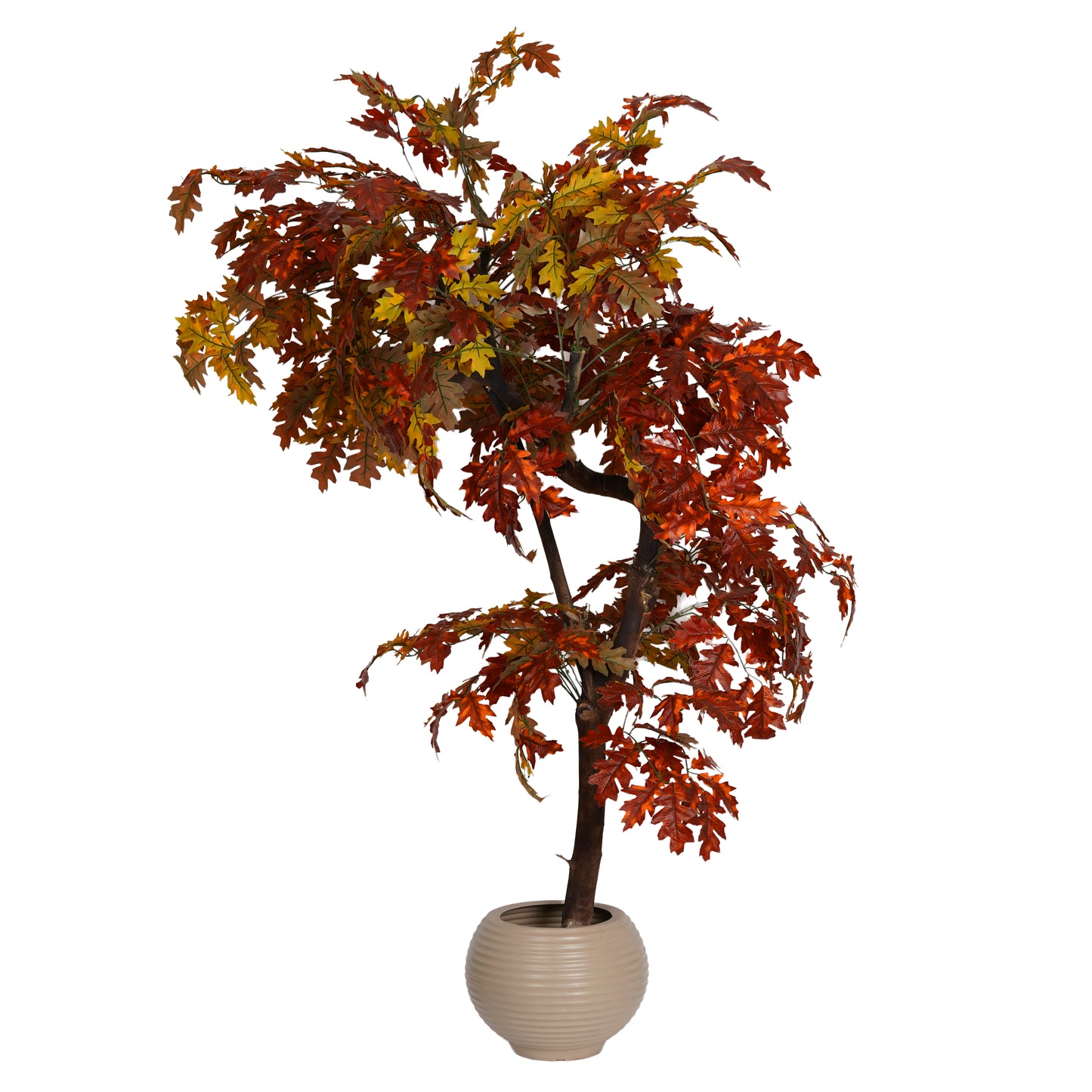 Red Grape Vine Tree