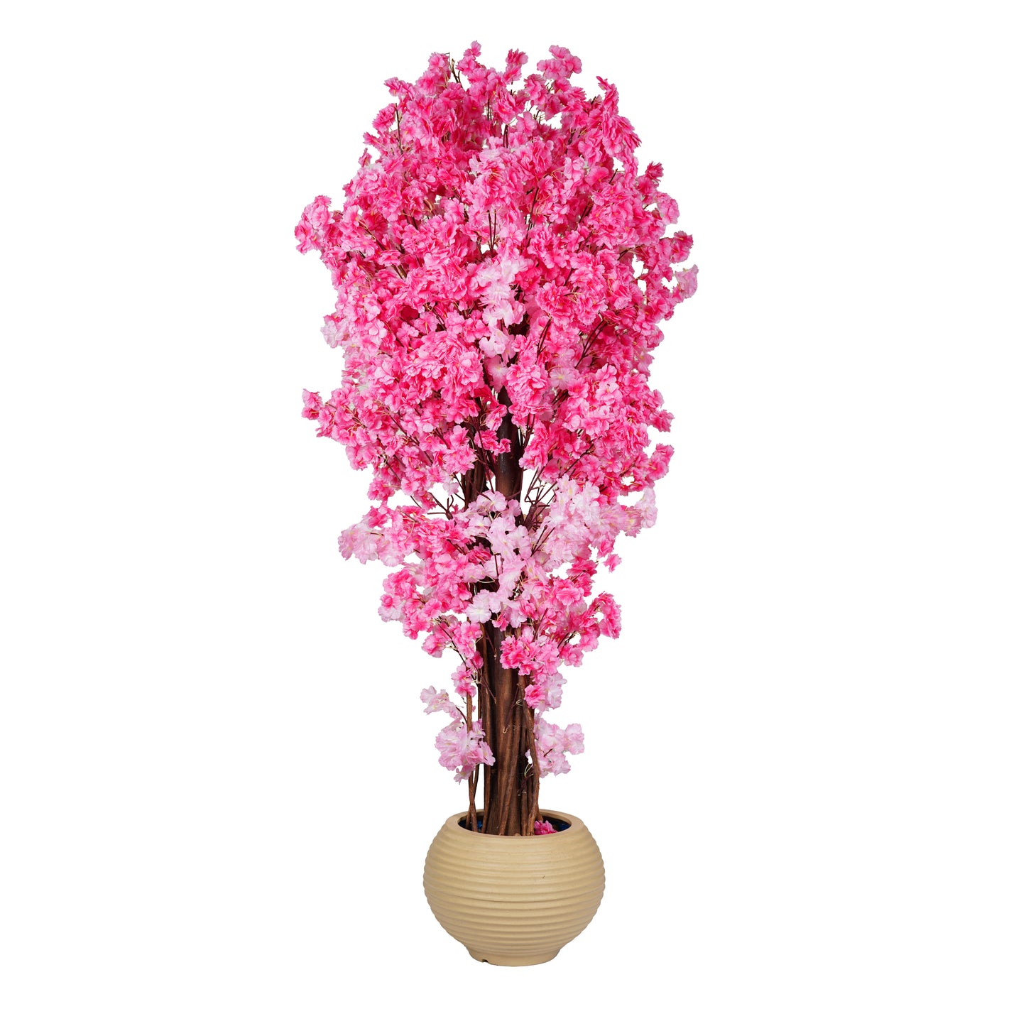 Jasmine Tree