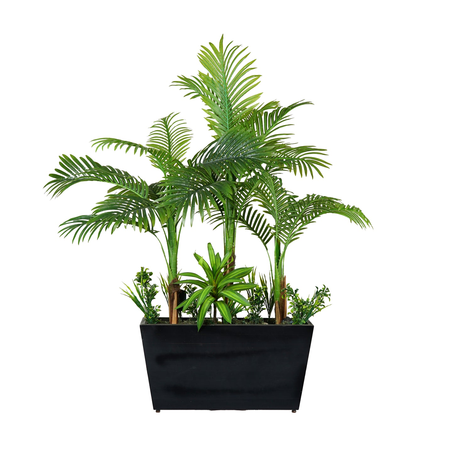 Areca Planter