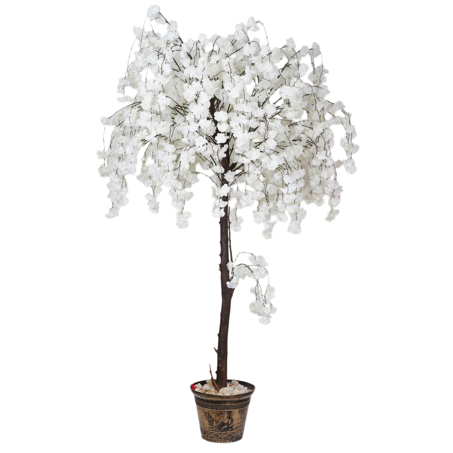White Weeping Cherry Tree