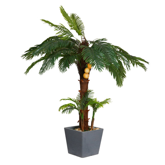 Fiber palm