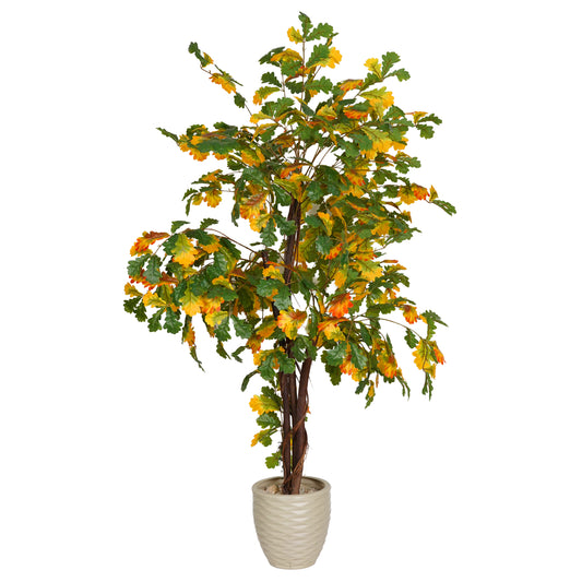Lauan Serrated Tree