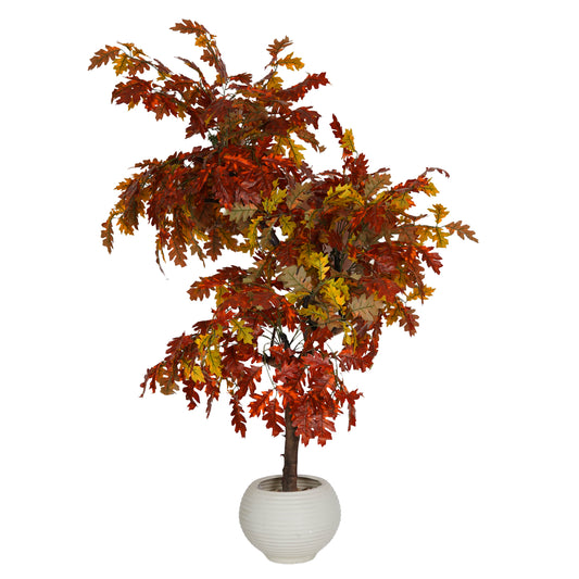 Red Grape Vine Tree