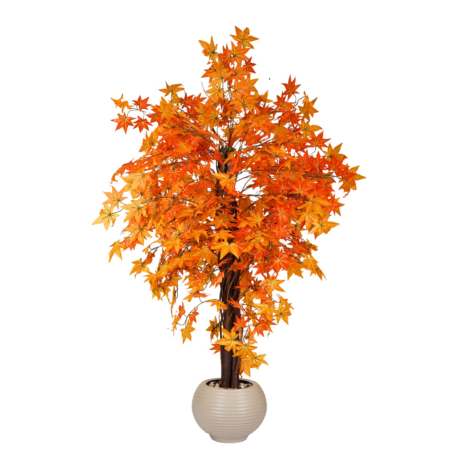 Autumn Tree