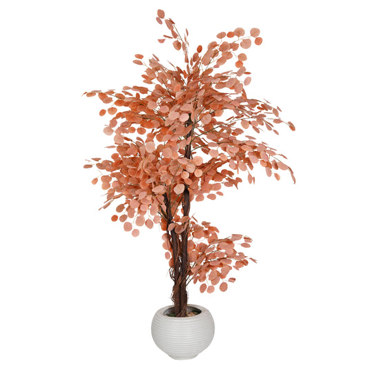 Lemon Qateefa Tree