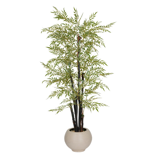 Pine Tree