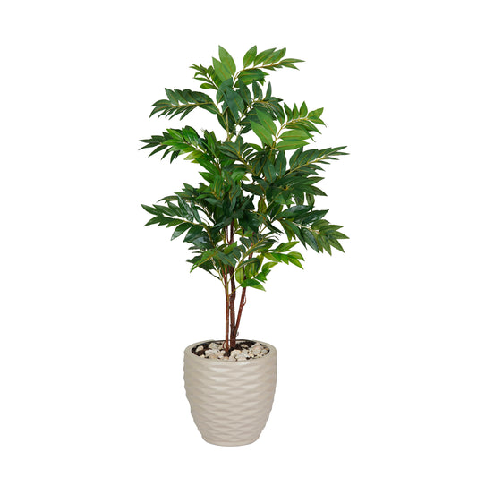 Olive Tree Trunk