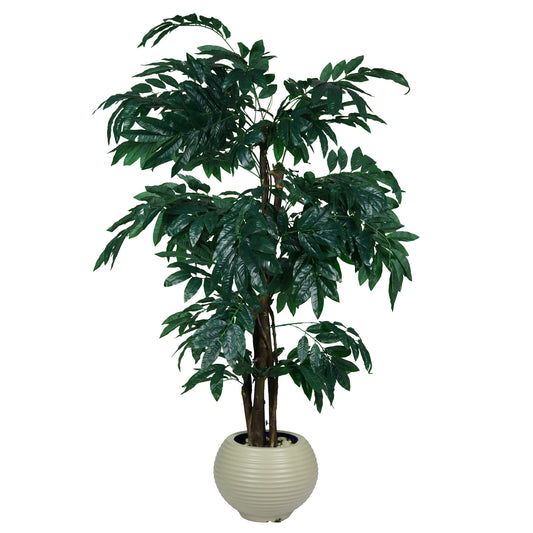 Guava Tree