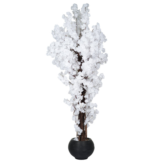 Jasmine Tree