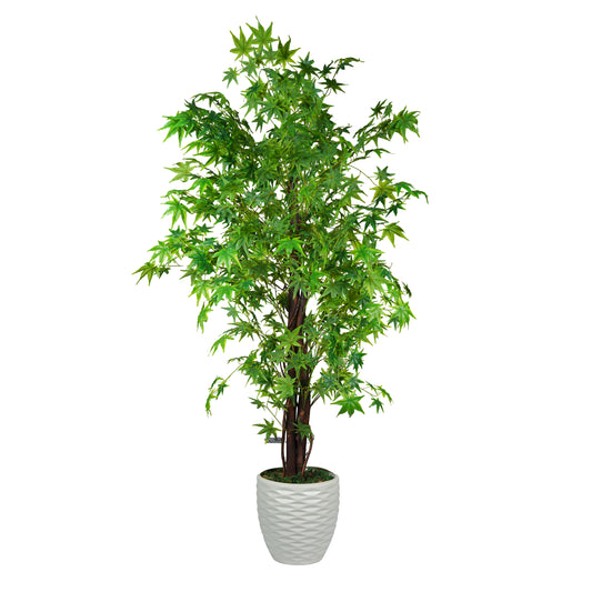 Star Tree