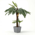 Fiber palm