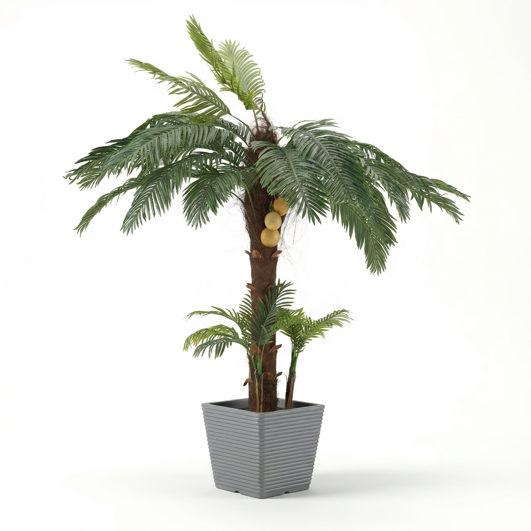 Fiber palm
