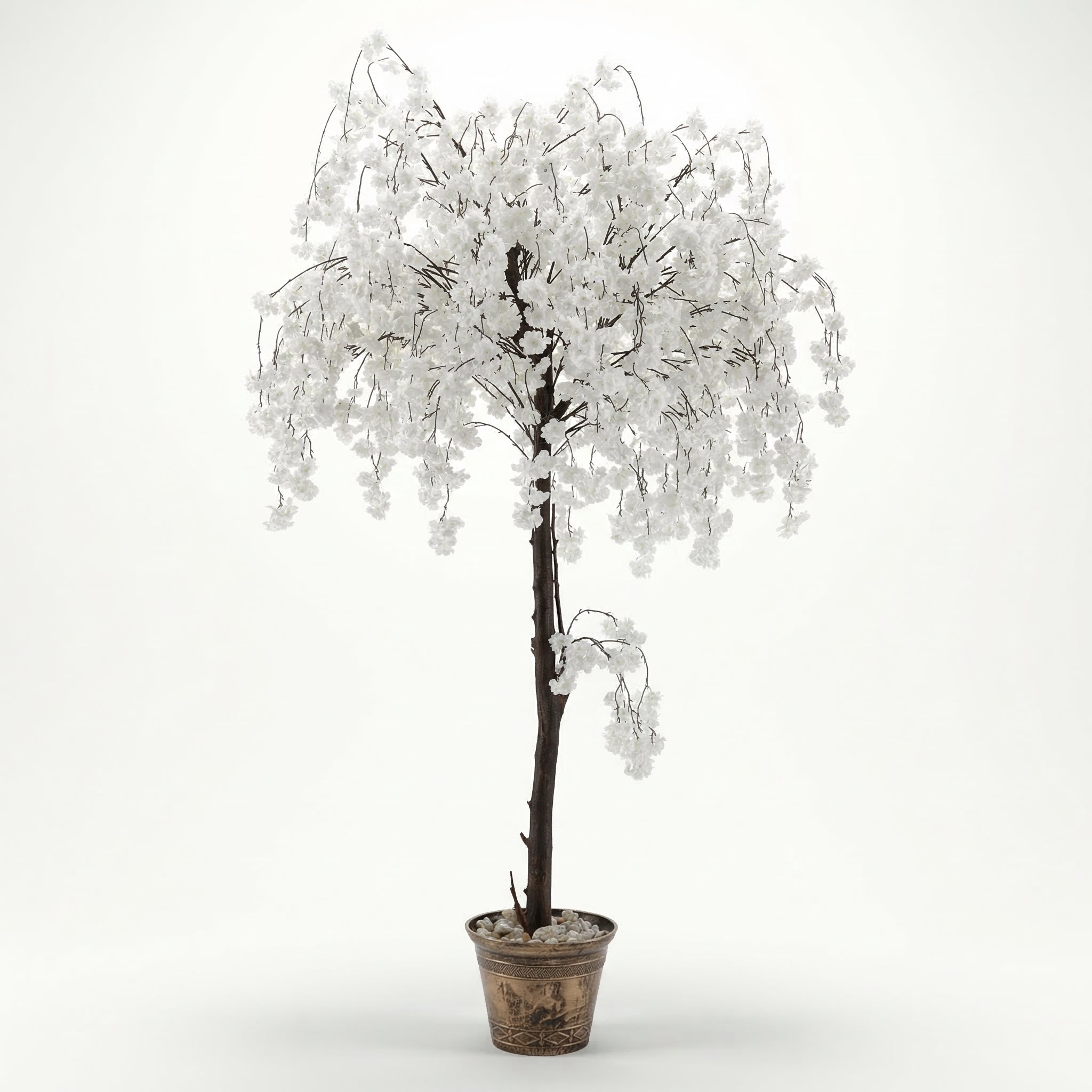 White Weeping Cherry Tree