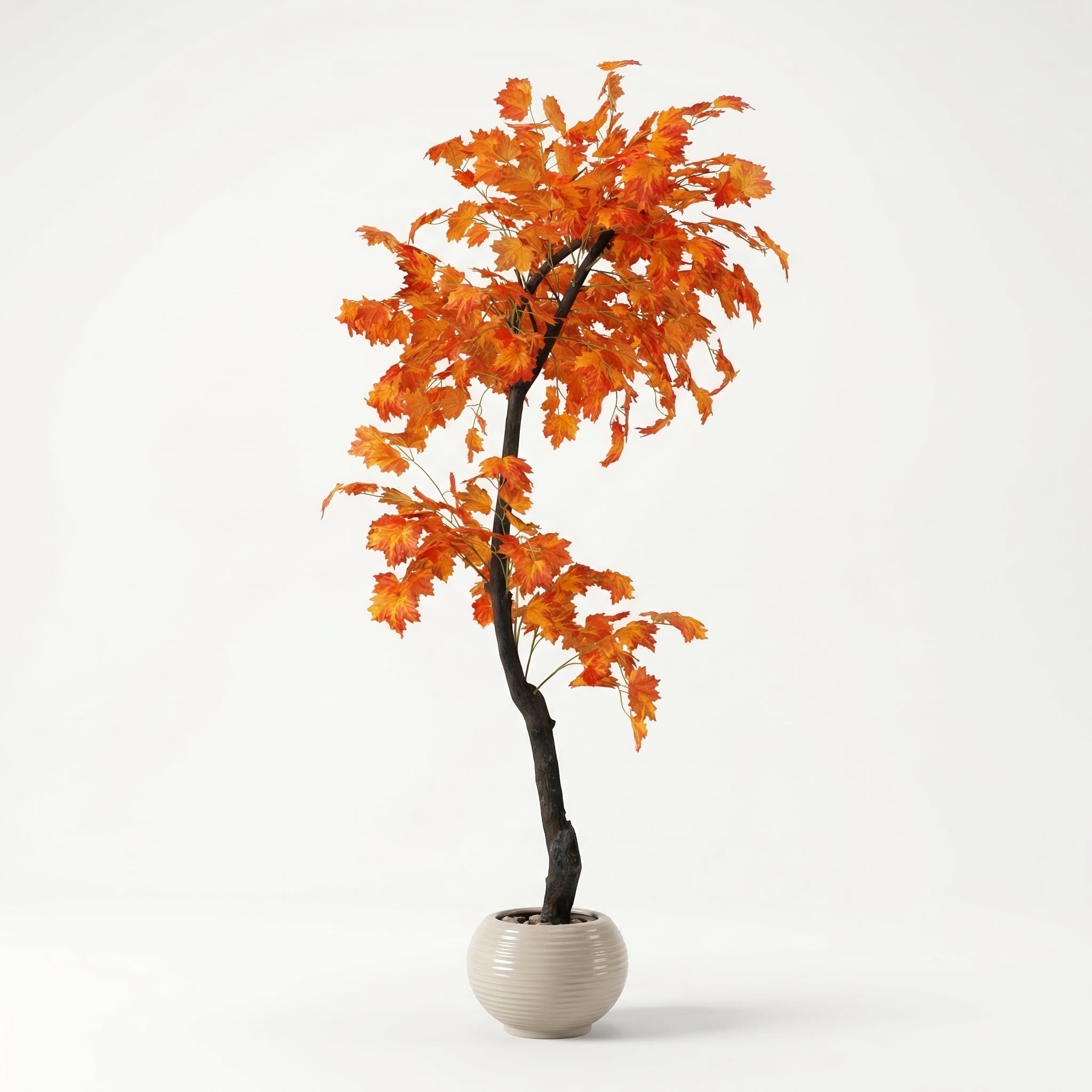 Autumn tree with a natural trunk
