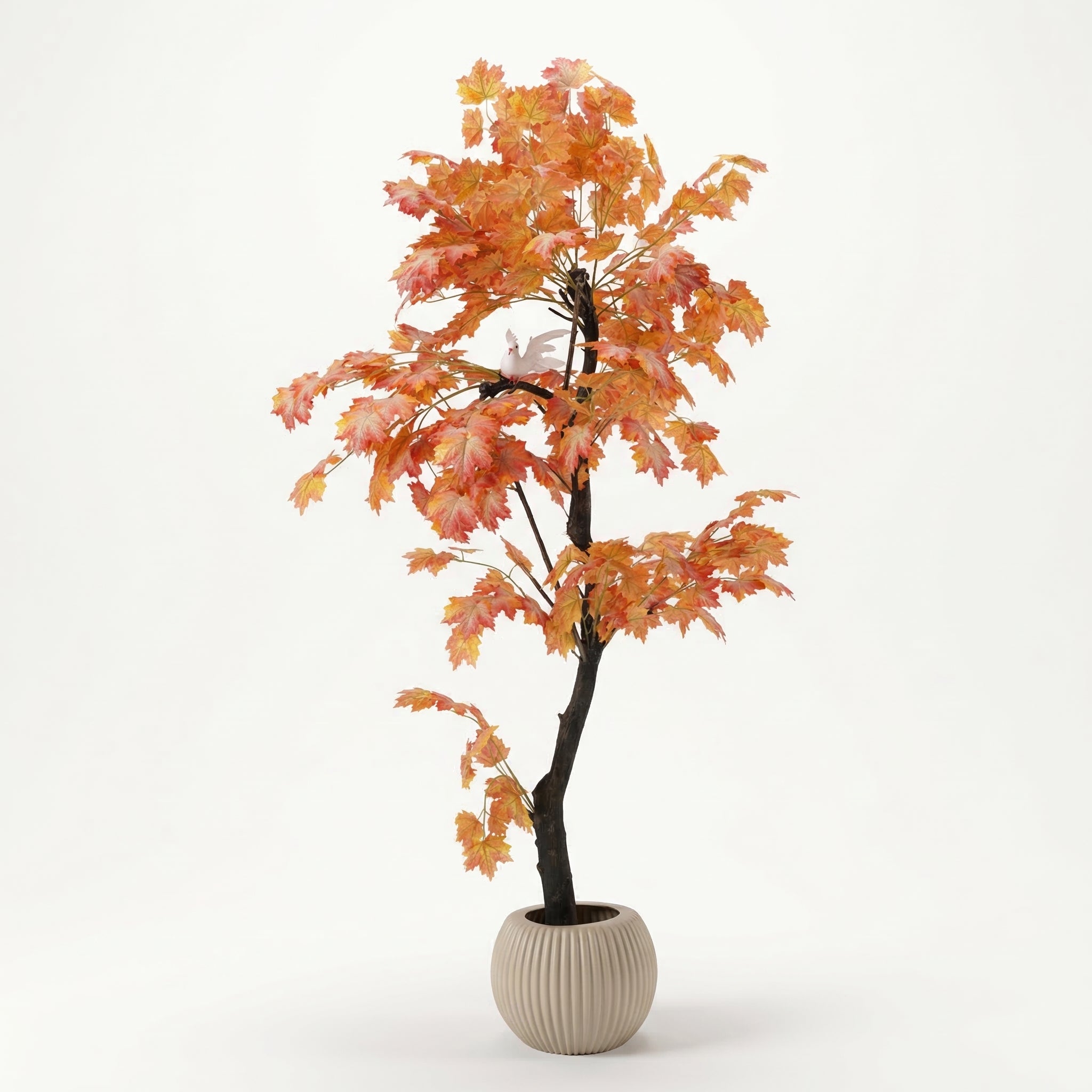 ِAutumn tree