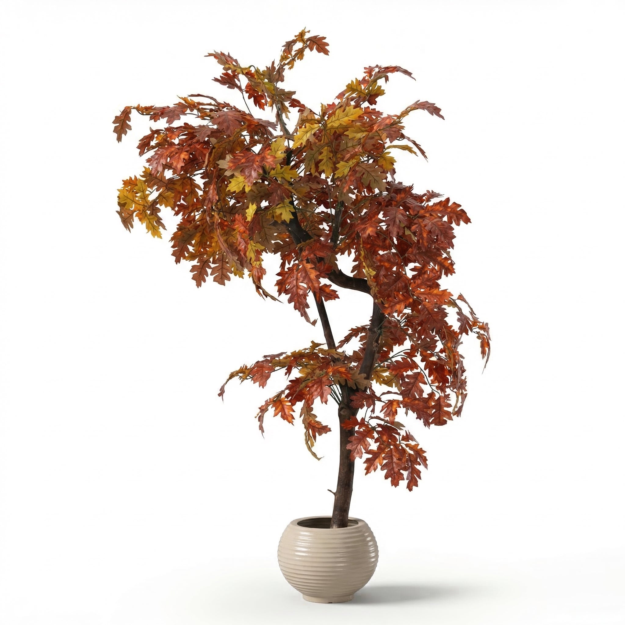 Red Grape Vine Tree