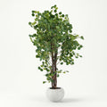 Apple tree