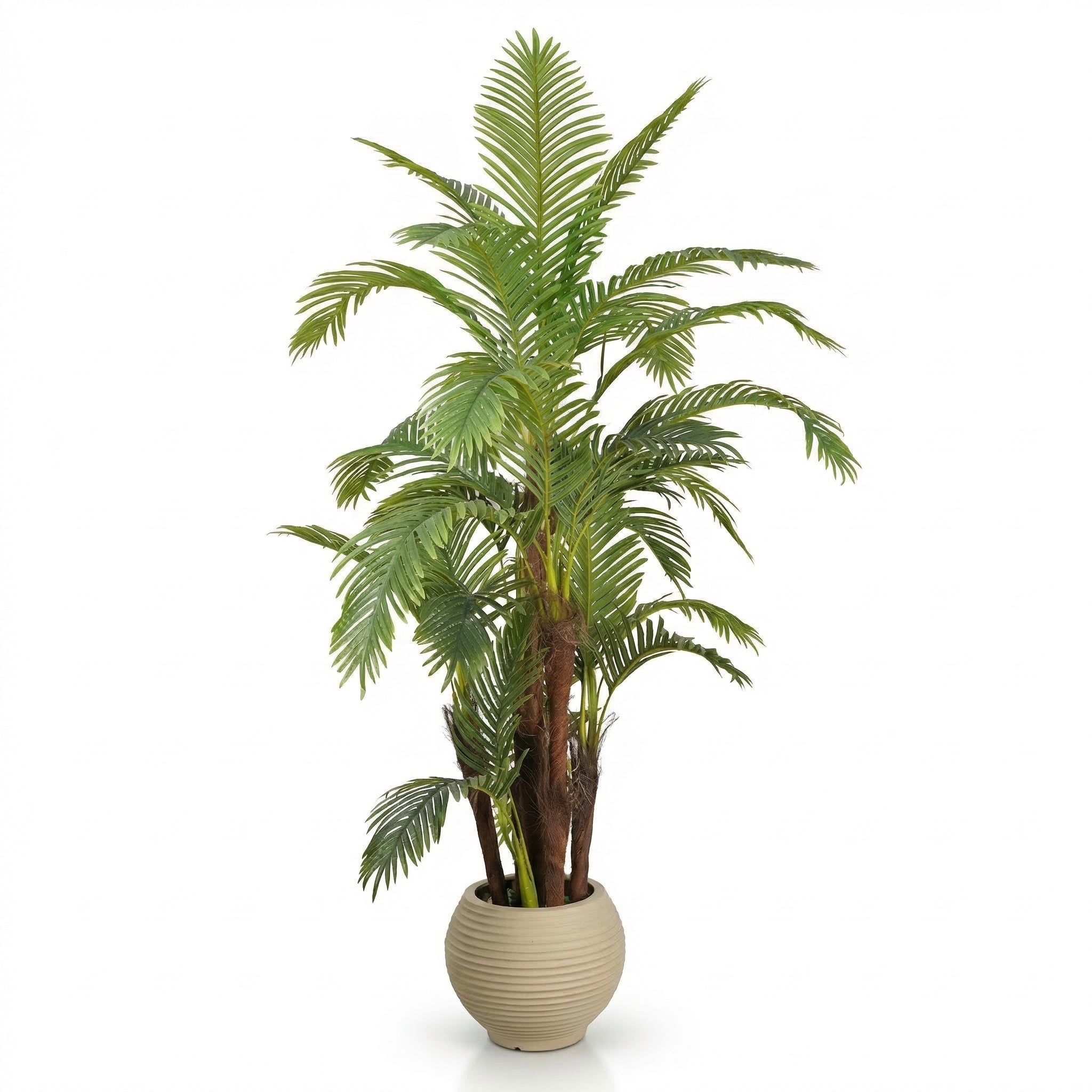 Palm Tree with Natural Fiber