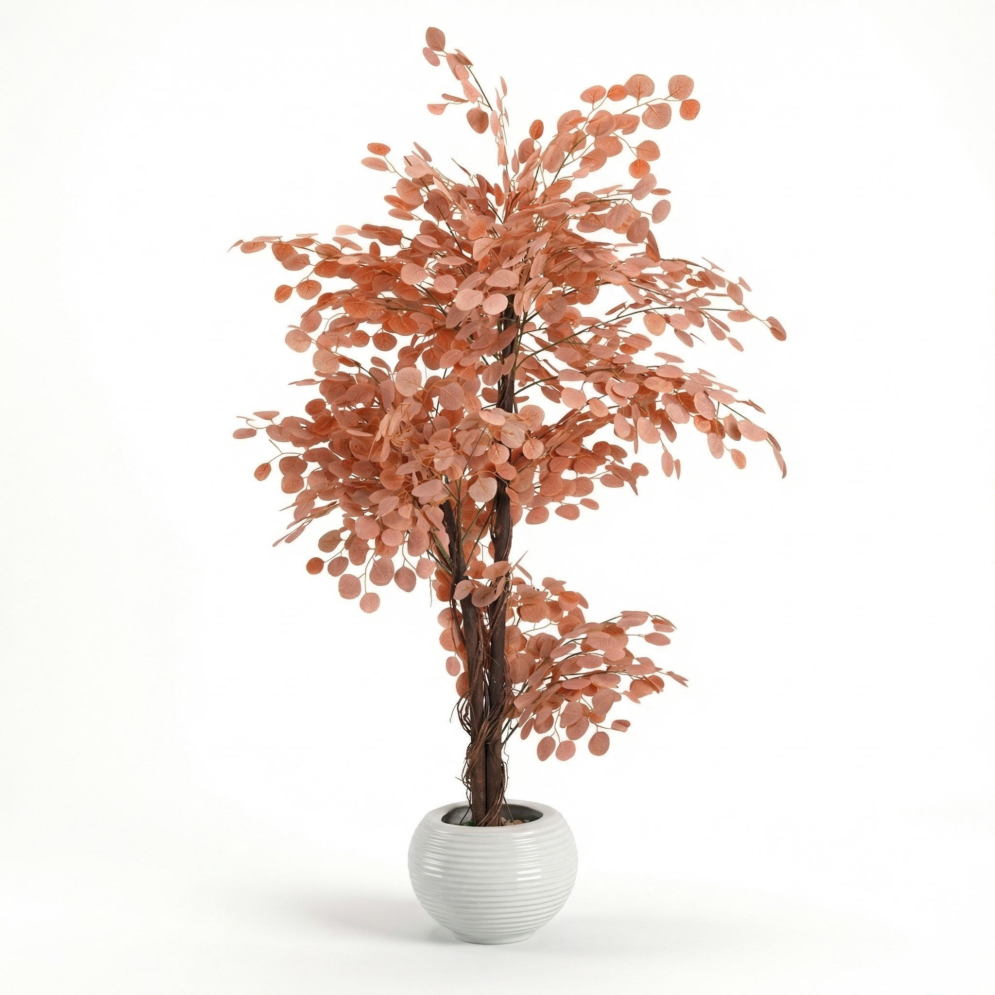 Lemon Qateefa Tree
