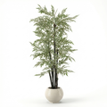 Pine Tree