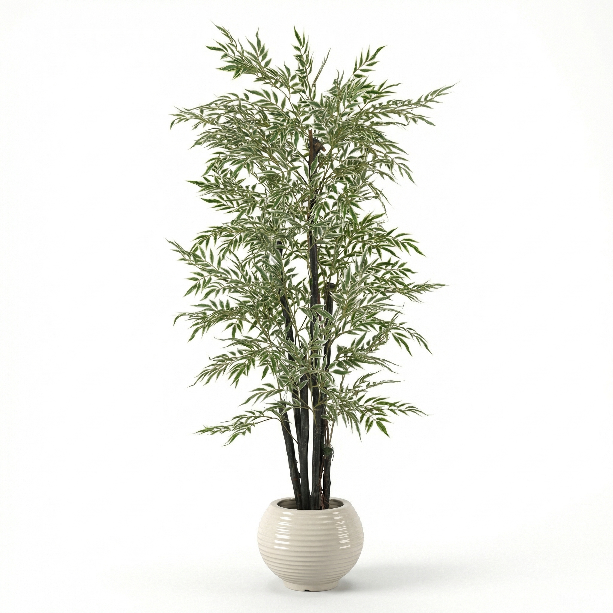 Pine Tree