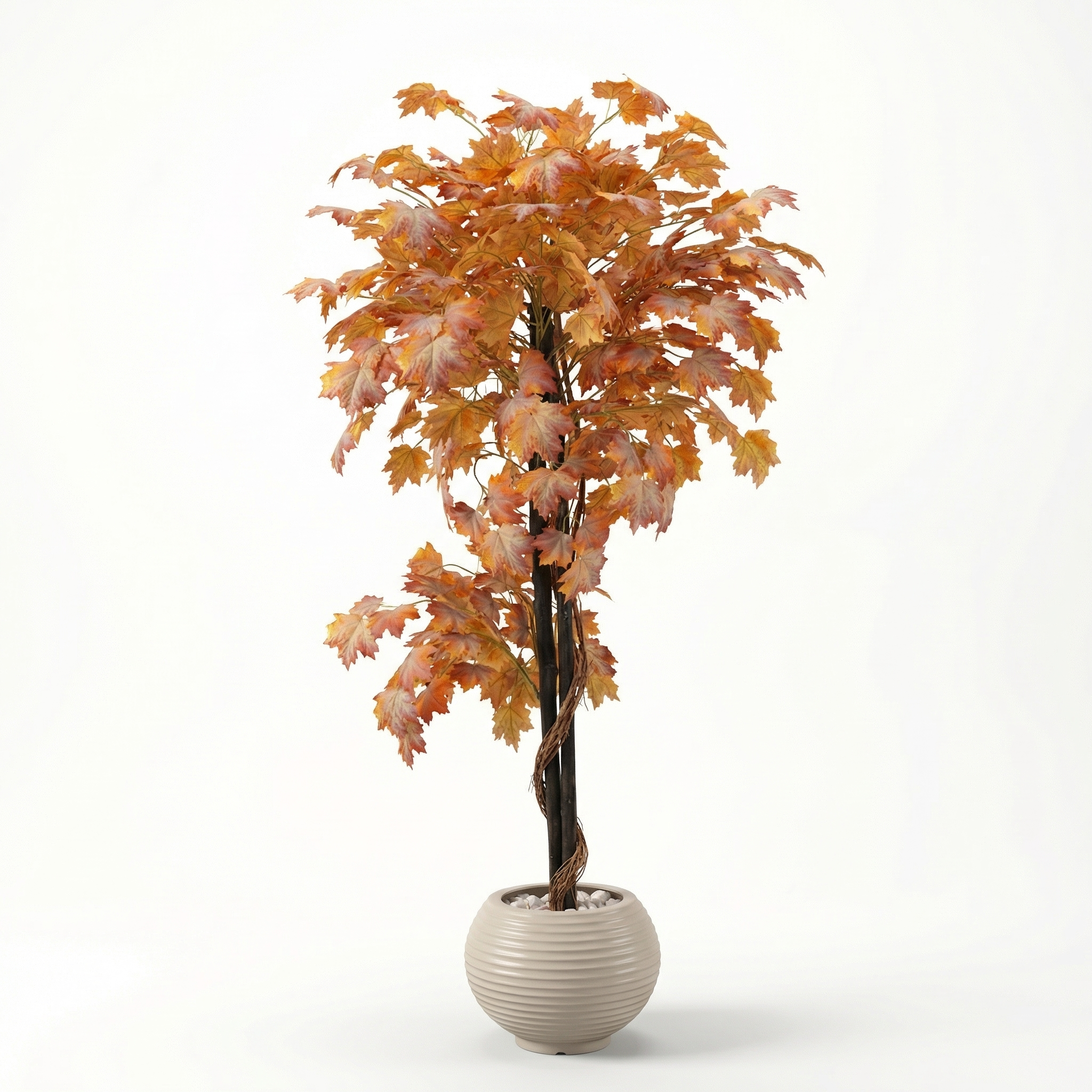 Red Grape Leaf Tree with Natural Trunk