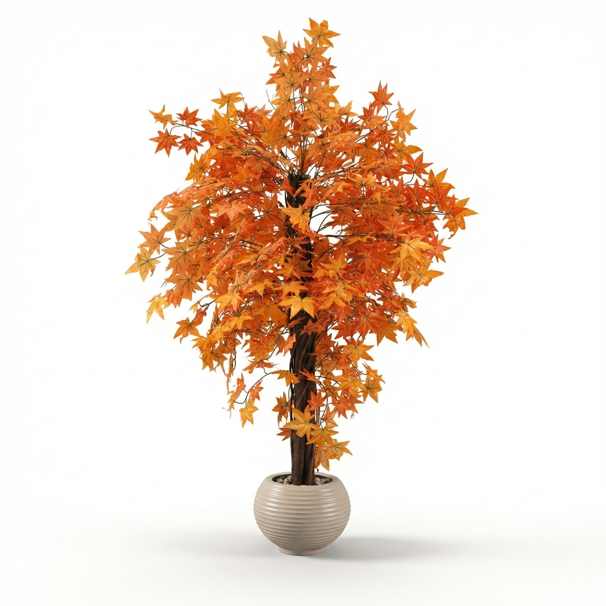 Autumn Tree