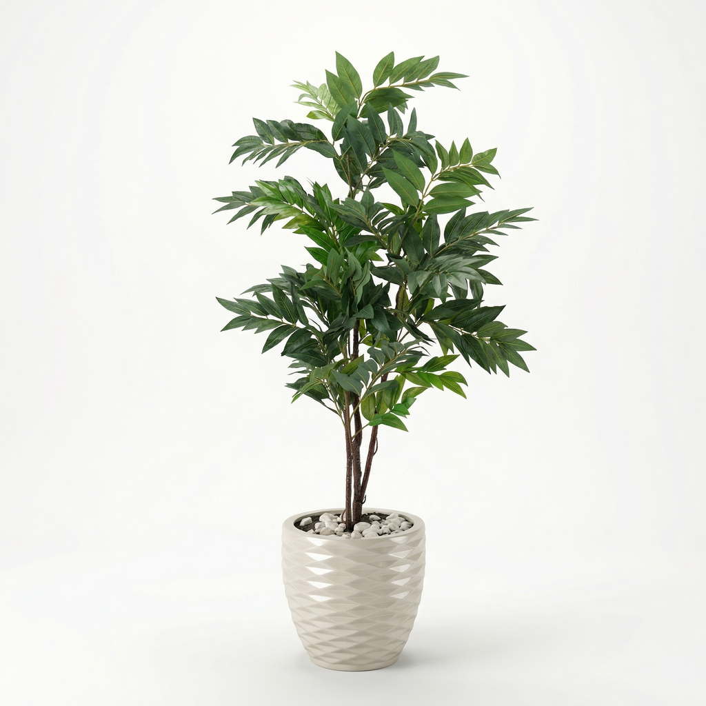 Olive Tree Trunk