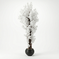Jasmine Tree