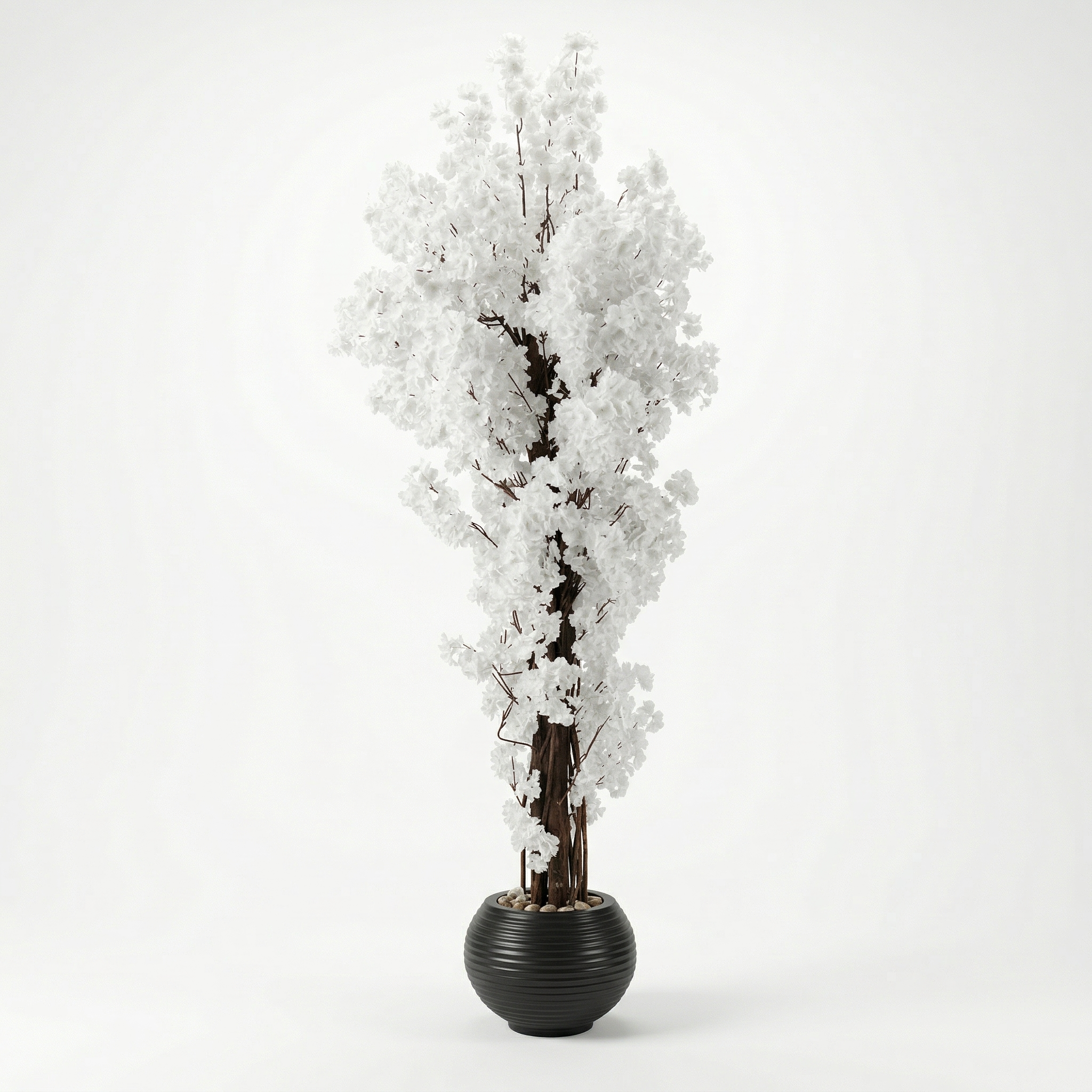Jasmine Tree