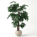 Guava Tree