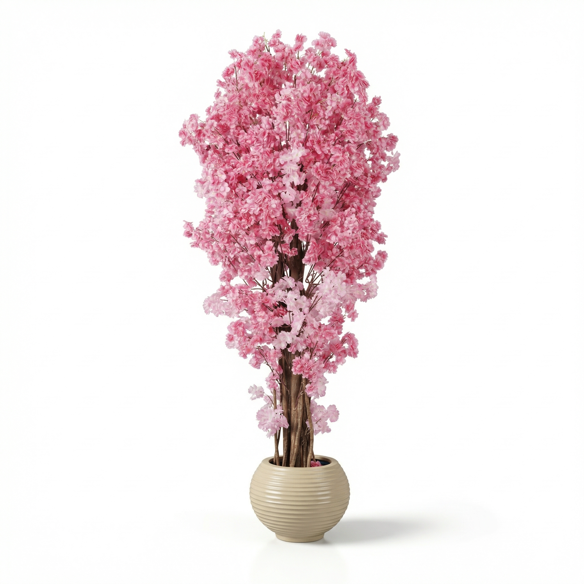 Jasmine Tree