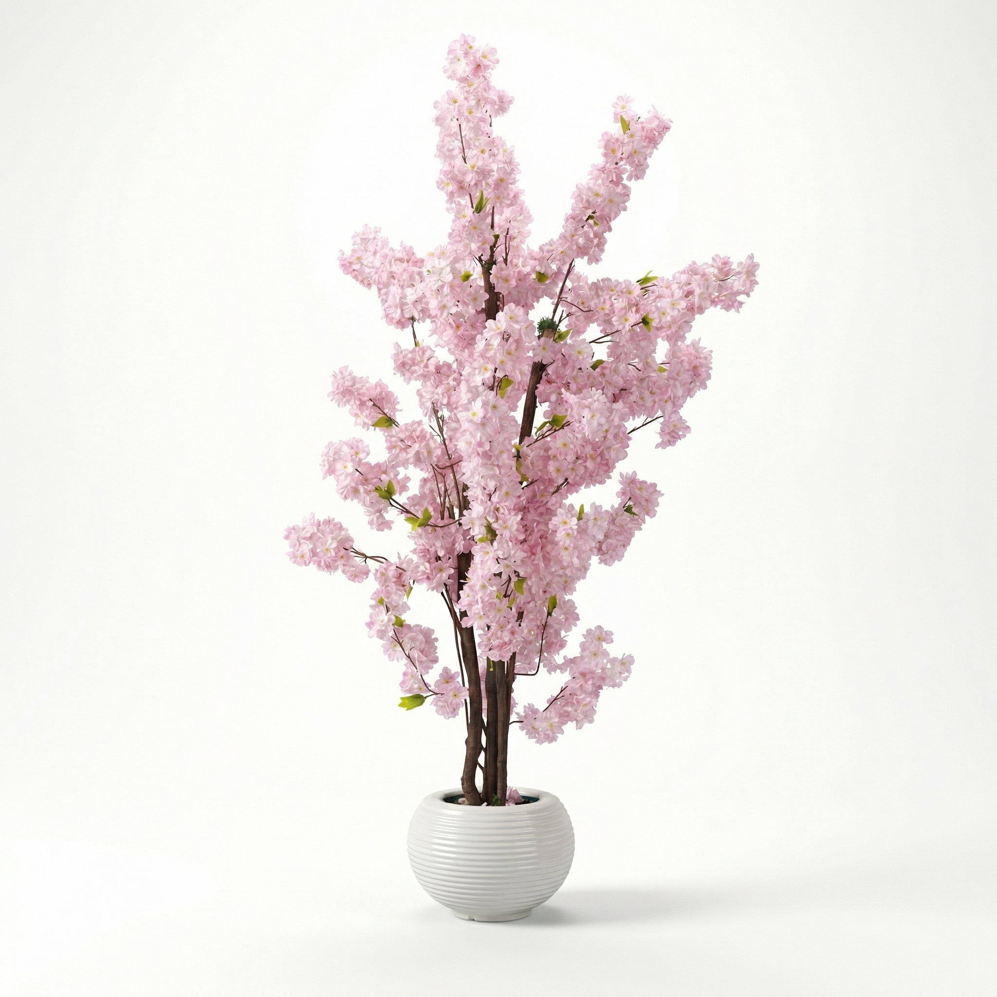 Jasmine Tree