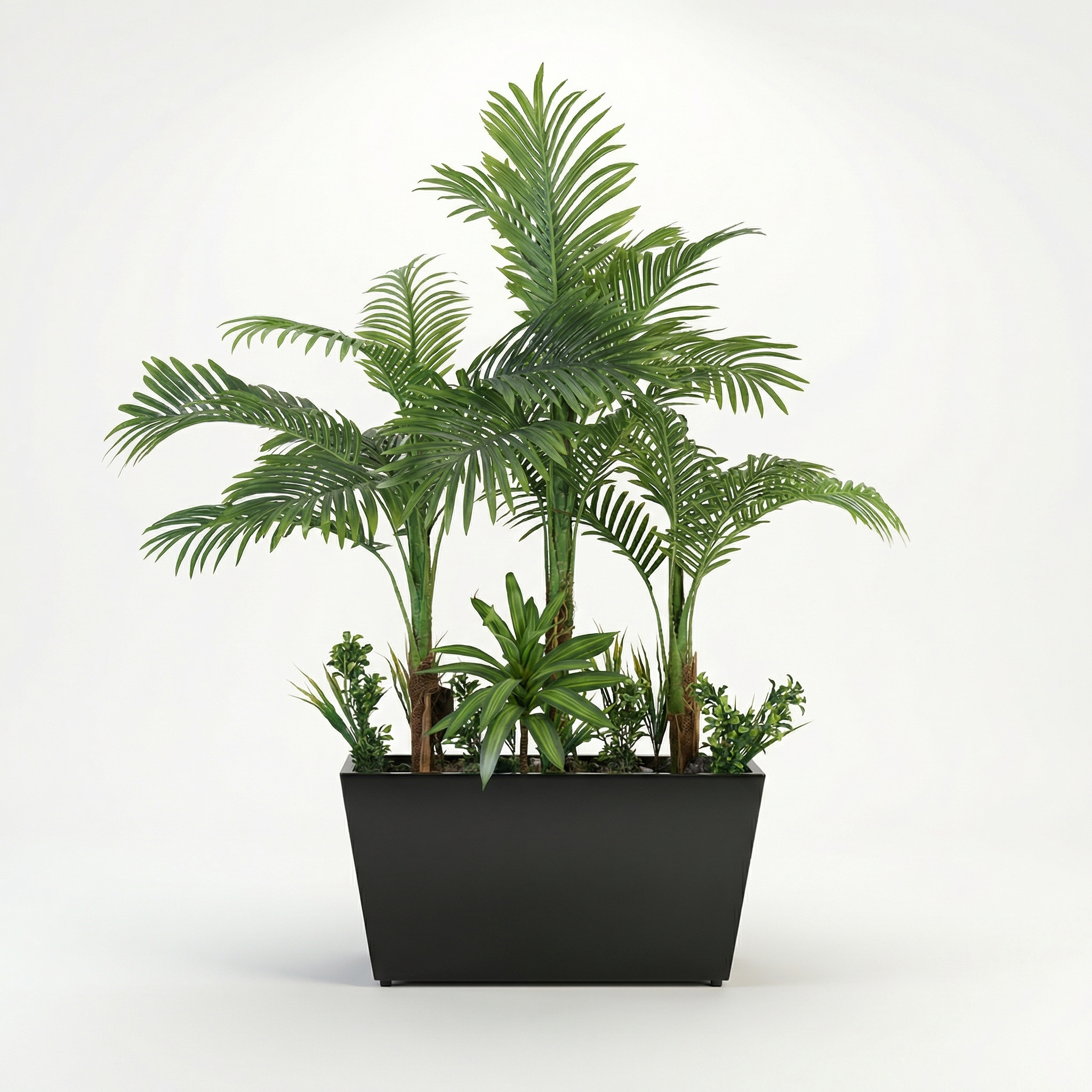 Areca Planter