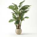 Palm Tree with 5 Trunks