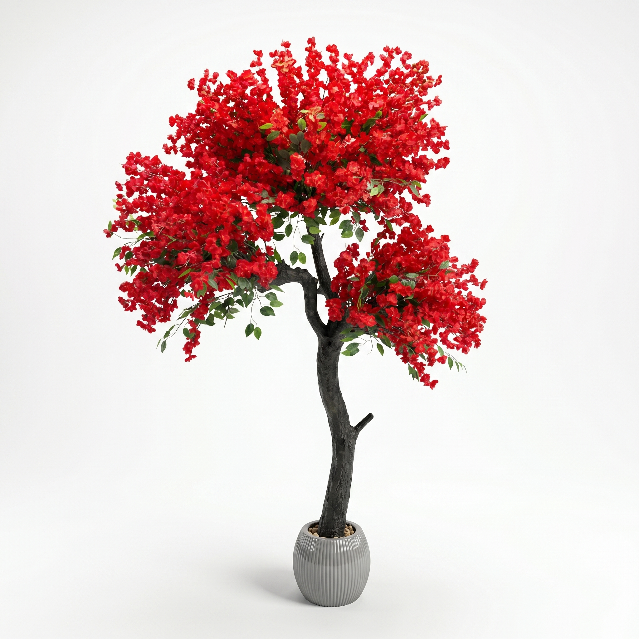 Red Peach Tree